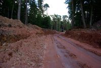 Großangelegte Waldzerstörung: Kein Bild aus Südamerika sondern aus Deutschland (Starnberg). Für Windkraft darf auch naturgeschützer Wald gerodet werden...