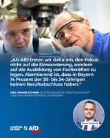 Bild: AfD Deutschland