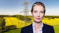 Dr. Alice Weidel (2021)