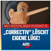 Bild: AfD Deutschland