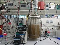 Rostfressende Mikroben im Bioreaktor am Werk. Bild: Boran Kartal