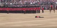 Bild: Screenshot Youtube Video "Guardsman carried off in stretcher after collapsing at ceremony"