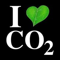 Ohne CO2, kein organisches Leben auf der Erde (Symbolbild)