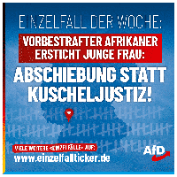 Bild: AfD Deutschland