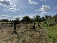 Einsatz der Feuerpatschen. Foto: Sönke Geiken