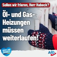 Bild: AfD Deutschland