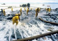 Reinigungsarbeiten nach dem Tankerunglück der Exxon Valdez im Jahr 1989 im Prinz-William-Sund, Alaska. Bild: courtesy of the Exxon Valdez Oil Spill Trustee Council