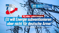 Bild: AfD Deutschland