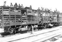 Transport von Armeniern in sogenannten Hammelwagen der Anatolischen Bahn (1915)