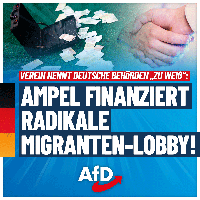 Bild: AfD Deutschland