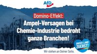 Bild: AfD Deutschland