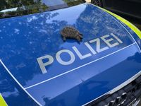 Bild: Polizei