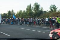 Flüchtlinge auf dem Seitenstreifen der ungarischen Autobahn M1 in Richtung Österreich, 4. September 2015
