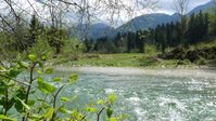 Glasklares Wasser - die Sava Bohinjka in Slowenien. Bild: "obs/ZDF/Birgit Hermes"