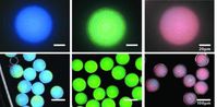 In Mikrokapseln verpackte nanoskopische Polymerkügelchen ermöglichen ohne klassische Farbstoffe Stru
Quelle: (c) Wiley-VCH (idw)