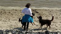 Bild: Lupo / pixelio.de