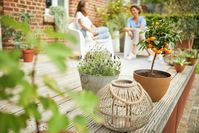 Vielfältig und pflegeleicht: Ein mediterraner Garten kann das grüne Herz gleich mehrfach höherschlagen lassen. Mit der richtigen Planung und der passenden Pflege ist eine südländische Oase auch ressourcenschonend, da sparsam im Wasserverbrauch. Außerdem ist ein mediterraner Garten, anders als sein Name vermuten lässt, ein hervorragendes Konzept für platzbegrenzte Terrassen und Balkone.