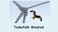 Windräder tötet unzählige Vögel und erzeugen Infraschall der Menschen schädigt (Symbolbild)