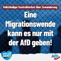 Bild: AfD Deutschland