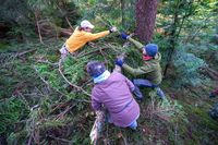 Bild: Quelle: Bergwaldprojekt e.V. Fotograf: HUK-COBURG