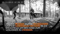 Brutale Trainingsmethoden: Ausschnitt aus dem neuen PETA-Video. Bild: © PETA