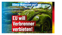 Bild: AfD Deutschland