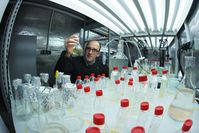 Der Chemiker Prof. Dr. Georg Pohnert von der Friedrich-Schiller-Universität Jena überprüft Algenkulturen, die in einem speziellen Container gehalten werden.
Quelle: Foto: Jan-Peter Kasper/FSU (idw)