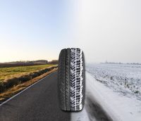 Anpassung an den Untergrund und ans Wetter: Der adaptive Reifen denkt mit
Quelle: (HTWK Leipzig) (idw)