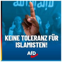 Bild: AfD Deutschland