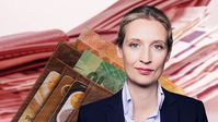 Dr. Alice Weidel (2018)