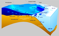 Glaziologische und ozeanographische Prozesse an der antarktischen Küste