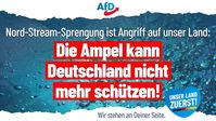 Bild: AfD Deutschland