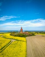 Mit dem Einsetzen der Rapsblüte leuchtet Deutschland wieder in strahlendem Gelb: Über 1,11 Millionen Hektar Winterraps stehen in diesen Wochen in voller Blüte. Damit unterstreicht der Raps auch 2025 seine zentrale Rolle im deutschen Ackerbau. Die gelben Felder sind mehr als ein schönes Frühlingsbild - sie sind sichtbarer Ausdruck einer vielseitigen und zukunftsorientierten Landwirtschaft.