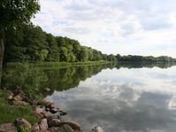 Im Frühjahr und Sommer kommte es im Arendsee oft zu übremäßigem Algenwachstum.
Quelle: Foto: IGB (idw)