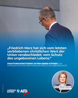 Bild: AfD Deutschland