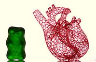 Gerüst: Formgebung bei biologischer Züchtung relevant.