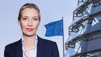 Dr. Alice Weidel (2018)