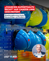 Bild: AfD Deutschland