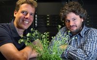 Prof. Dr. Ivo Große (Universität Halle-Wittenberg, links) und Dr. Marcel Quint (Leibniz-Institut für Pflanzenbiochemie) mit einem Exemplar der Ackerschmalwand im Rechenzentrum der Uni Halle.
Quelle: Foto: Uni Halle, Maike Glöckner (idw)