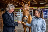 Prof. Uwe Frank forscht zur Heilkraft der Meerrettichpflanze - Pferden soll die Meerrettichwurzel bei Hufleiden helfen. Bild: ZDF Fotograf: ZDF/Stefan Spoo