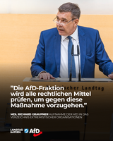 Bild: AfD Deutschland