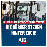 Bild: AfD Deutschland