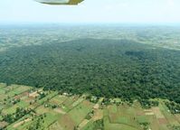 Kakamega-Regenwald in Kenia: Aus dem einstmals zusammenhängenden Waldgebiet sind vom Menschen überprägte Waldinseln geworden, zwischen denen Agrarland liegt.
Quelle: Copyright: N. Farwig, BIOTA-E02 (idw)