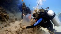 Prof. Raquel Peixoto rettet Korallen im Roten Meer.  Bild: 3sat Fotograf: 3sat