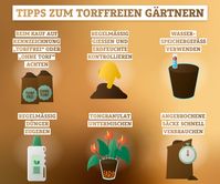 Tipps zum Gärtnern mit torffreier Erde: Für Menschen mit grünem Daumen ist das Frühjahr vor allem Zeit zum Pflanzen - egal ob im Garten, auf der Terrasse, dem Balkon oder innerhalb der Wohnung.