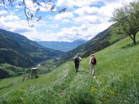 Wandern in Südtirol