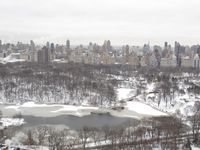 New Yorker Central Park (2012)