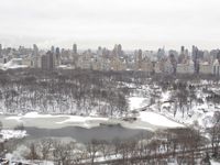 New Yorker Central Park (2012)