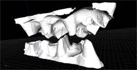 3D-Modelle von den Zahnreihen eines Spitzmaulnashorns. Wissenschaftlerinnen und Wissenschaftler im Forschungscluster „Zahnfunktion“ haben eine spezielle Software entwickelt, mit der Tiere und Menschen virtuell „Kauen lernen“. Durch Simulierung der Nahrung können sogar die Kräfte berechnet werden, die beim Kauen entstehen.
Quelle: Foto: UHH/Hallay (idw)