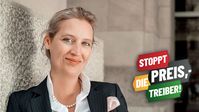 Alice Weidel  (2022): AfD - Alternative für Deutschland